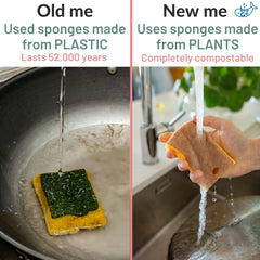 bioGo Compostable Plant Based Dish Sponges